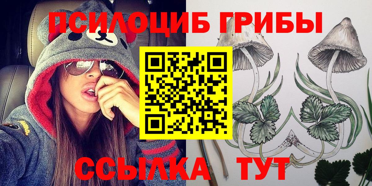 Псилоцибиновые грибы прущие грибы  Вход с VPN  Новоалександровск 