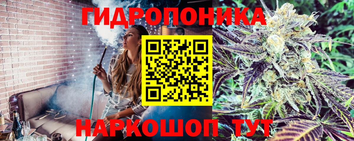 Конопля семена  Бошки Шишки MAZAR  Каннабис марихуана  Вход с VPN  Новоалександровск 
